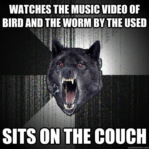watches the music video of bird and the worm by the used sits on the couch  Insanity Wolf