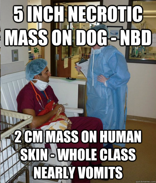 5 inch necrotic mass on dog - NBD 2 cm mass on human skin - whole class nearly vomits  Overworked Veterinary Student