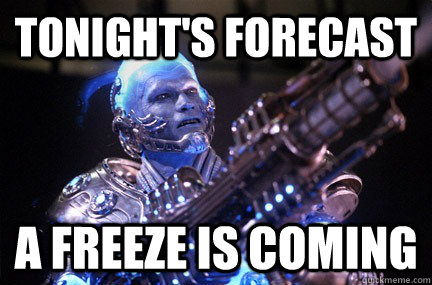 tonight's forecast a freeze is coming - tonight's forecast a freeze is coming  Bad Pun Mr Freeze