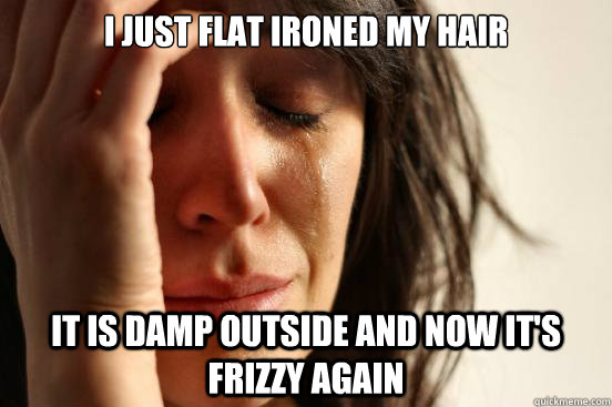 I JUST FLAT IRONED MY HAIR IT IS DAMP OUTSIDE AND NOW IT'S FRIZZY AGAIN  First World Problems