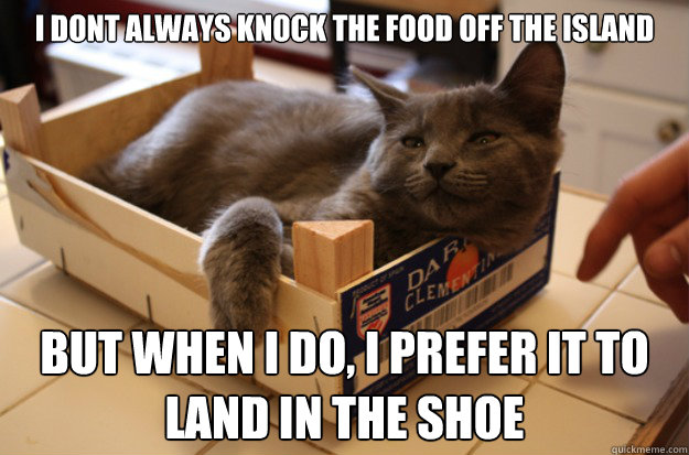 I dont always knock the food off the island But when i do, i prefer it to land in the shoe  The Most Interesting Cat in the World