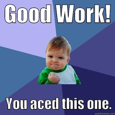 Good Work! -  GOOD WORK!     YOU ACED THIS ONE. Success Kid
