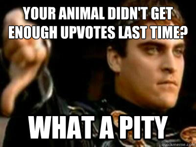 Your animal didn't get enough upvotes last time? What a pity - Your animal didn't get enough upvotes last time? What a pity  Downvoting Roman