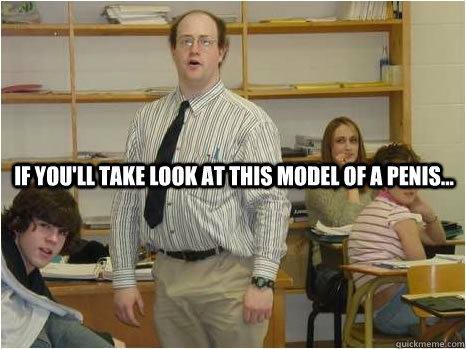 If you'll take look at this model of a penis...  