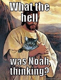 WHAT THE HELL WAS NOAH THINKING? Misc