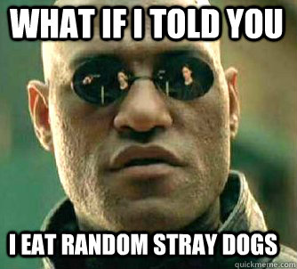 what if i told you I eat random stray dogs  Matrix Morpheus
