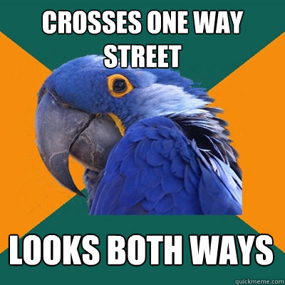 crosses one way street looks both ways  Paranoid Parrot
