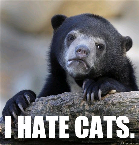  I hate cats.  Confession Bear