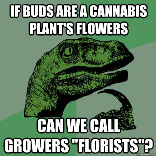If buds are a cannabis plant's flowers Can we call growers 
