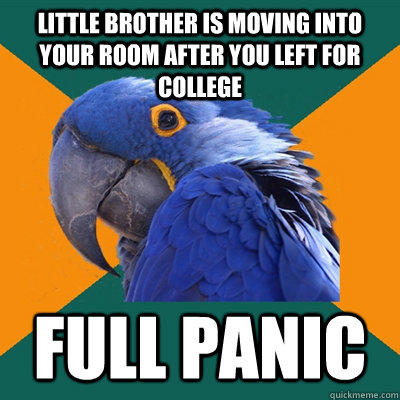 little brother is moving into your room after you left for college Full panic  Paranoid Parrot