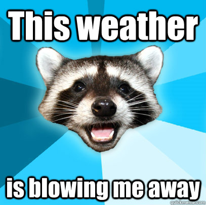This weather is blowing me away - This weather is blowing me away  Lame Pun Coon