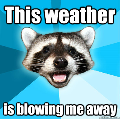 This weather is blowing me away  Lame Pun Coon