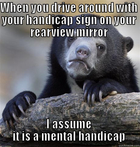 WHEN YOU DRIVE AROUND WITH YOUR HANDICAP SIGN ON YOUR REARVIEW MIRROR I ASSUME IT IS A MENTAL HANDICAP Confession Bear
