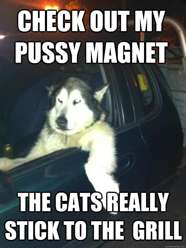 Check out my pussy magnet The cats really stick to the  grill  Mean Dog