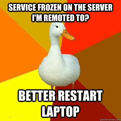 Service frozen on the server I'm remoted to? Better restart laptop  Tech Impaired Duck