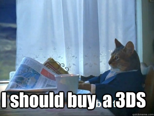  I should buy  a 3DS  Rich cat is rich