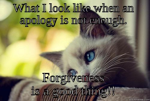 WHAT I LOOK LIKE WHEN AN APOLOGY IS NOT ENOUGH. FORGIVENESS IS A GOOD THING!! First World Problems Cat