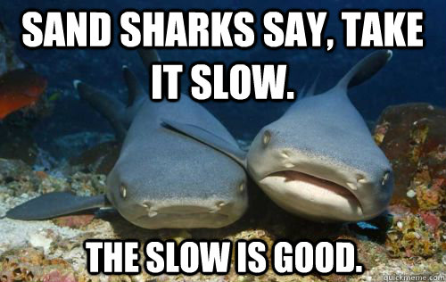 Sand Sharks say, Take it slow. The Slow is Good.  Compassionate Shark Friend