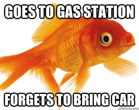 Goes to gas station forgets to bring car - Goes to gas station forgets to bring car  Forgetful Fish