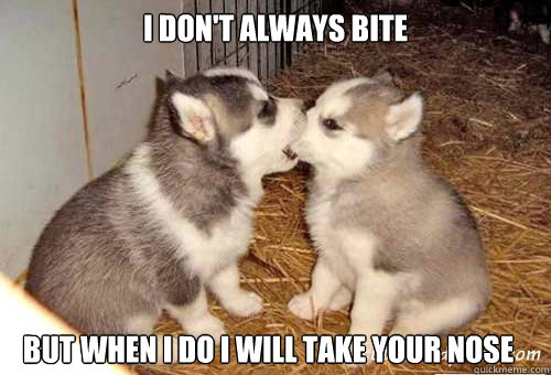 I don't always bite But when I do I will take your nose - I don't always bite But when I do I will take your nose  Husky bite