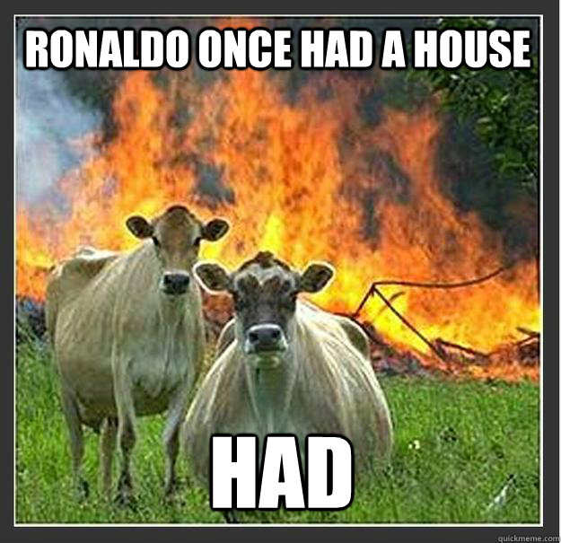 ronaldo once had a house had   Evil cows