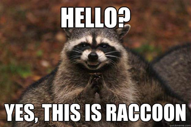 HELLO? YES, THIS IS RACCOON   Evil Plotting Raccoon