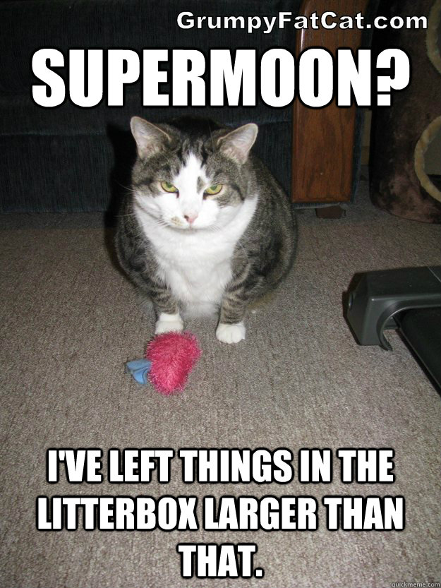 Supermoon? I've left things in the litterbox larger than that.  Grumpy Fat Cat
