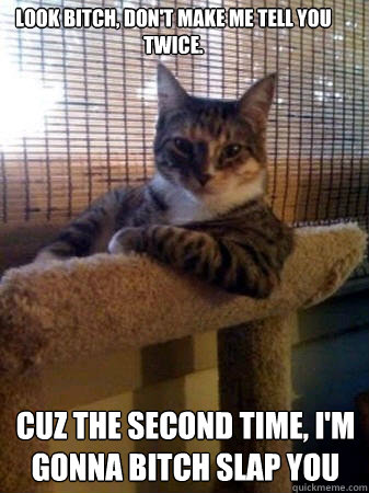 Look bitch, don't make me tell you twice. Cuz the second time, I'm gonna bitch slap you  The Most Interesting Cat in the World