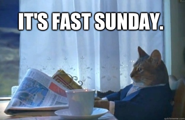 It's fast Sunday.  Sophisticated Cat