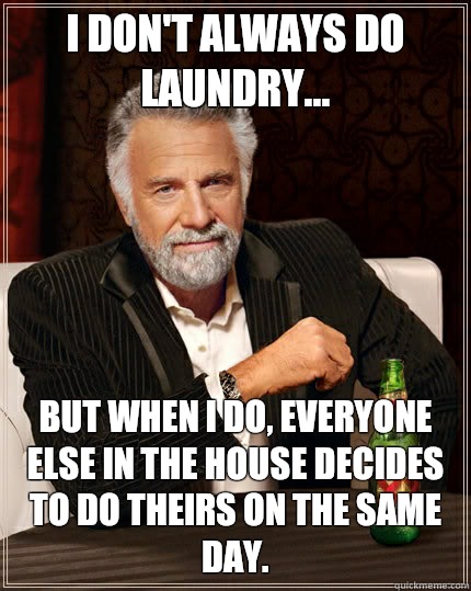 I don't always do laundry... but when I do, everyone else in the house decides to do theirs on the same day.  The Most Interesting Man In The World