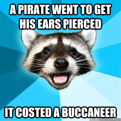 A Pirate went to get his ears pierced it costed a buccaneer   Lame Pun Raccoon