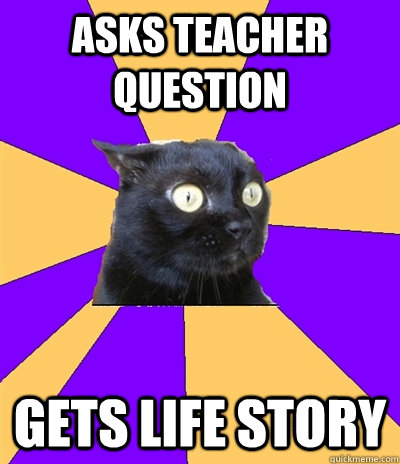 asks teacher question gets life story  Anxiety Cat
