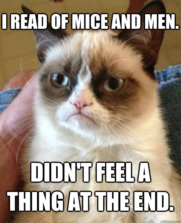 I read Of Mice And Men. Didn't feel a thing at the end.  Grumpy Cat