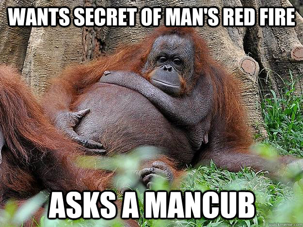 Wants secret of man's red fire asks a mancub  
