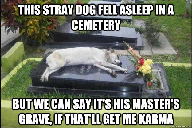 This stray dog fell asleep in a cemetery But we can say it's his master's grave, if that'll get me karma - This stray dog fell asleep in a cemetery But we can say it's his master's grave, if that'll get me karma  Misc