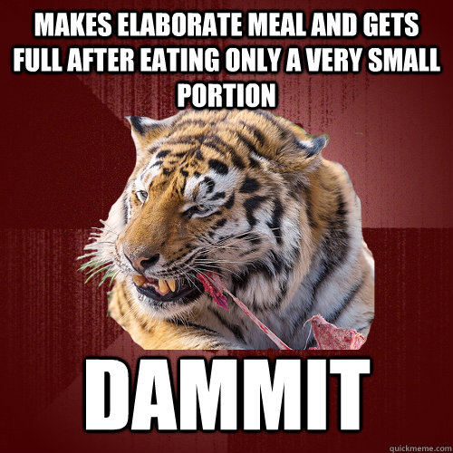 Makes elaborate meal and gets full after eating only a very small portion Dammit  Keto Tiger