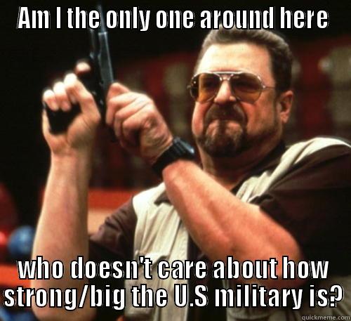 AM I THE ONLY ONE AROUND HERE WHO DOESN'T CARE ABOUT HOW STRONG/BIG THE U.S MILITARY IS? Am I The Only One Around Here