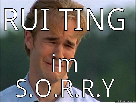 RUI TING IM S.O.R.R.Y 1990s Problems