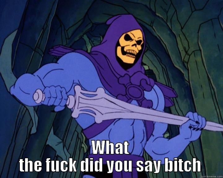  WHAT THE FUCK DID YOU SAY BITCH Misc