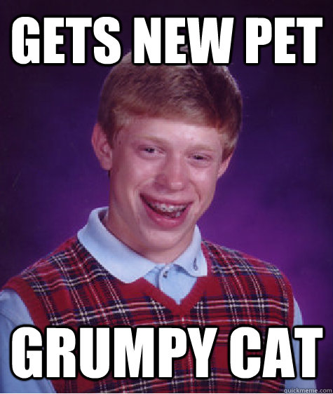 gets new pet grumpy cat  Bad Luck Brian