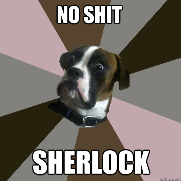 No Shit  Sherlock  Genuinely Surprised Dog