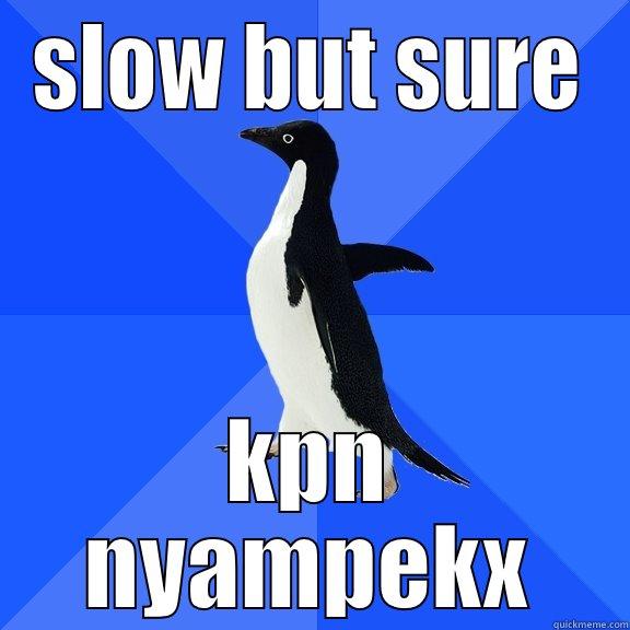 SLOW BUT SURE KPN NYAMPEKX Socially Awkward Penguin