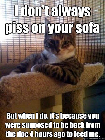 I don't always piss on your sofa But when I do, it's because you were supposed to be back from the doc 4 hours ago to feed me.  The Most Interesting Cat in the World