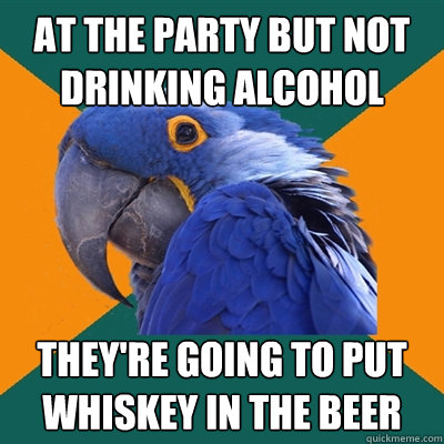 At the party but not drinking alcohol They're going to put whiskey in the beer  Paranoid Parrot