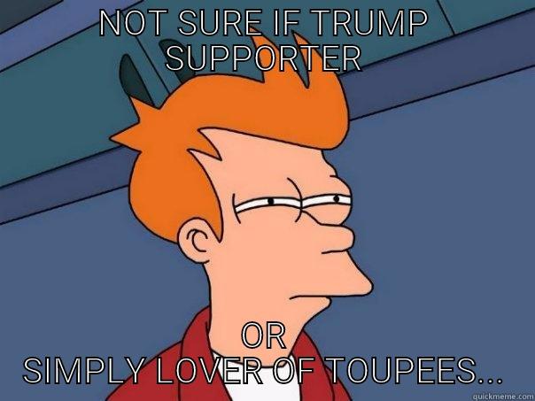 NOT SURE IF TRUMP SUPPORTER OR SIMPLY LOVER OF TOUPEES... Futurama Fry