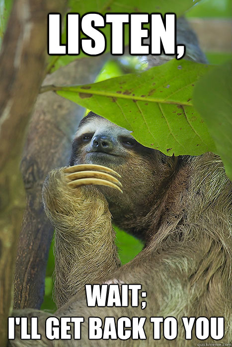 Listen, wait; 
i'll get back to you  Philososloth