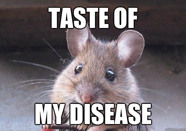 taste of my disease  