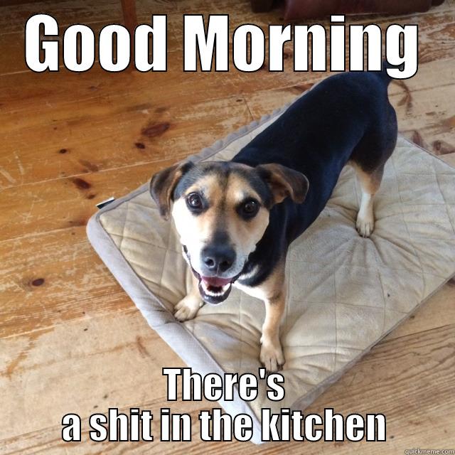 GOOD MORNING THERE'S A SHIT IN THE KITCHEN Misc