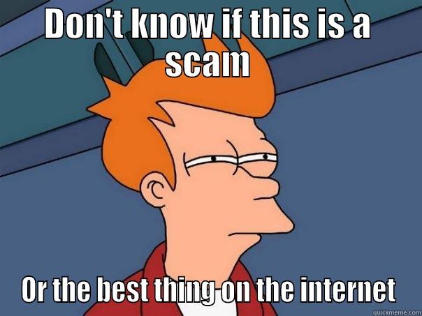 DON'T KNOW IF THIS IS A SCAM OR THE BEST THING ON THE INTERNET Futurama Fry