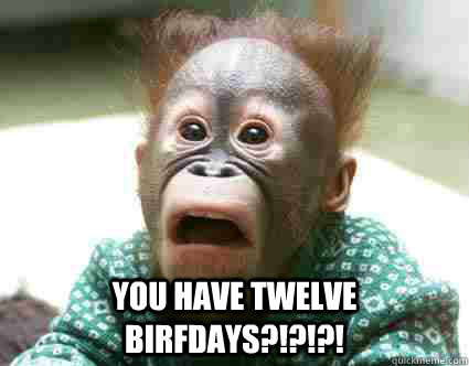  You have twelve birfdays?!?!?!  Surprised Monkey